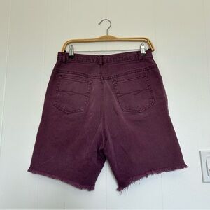 Soft Vintage Jean Shorts